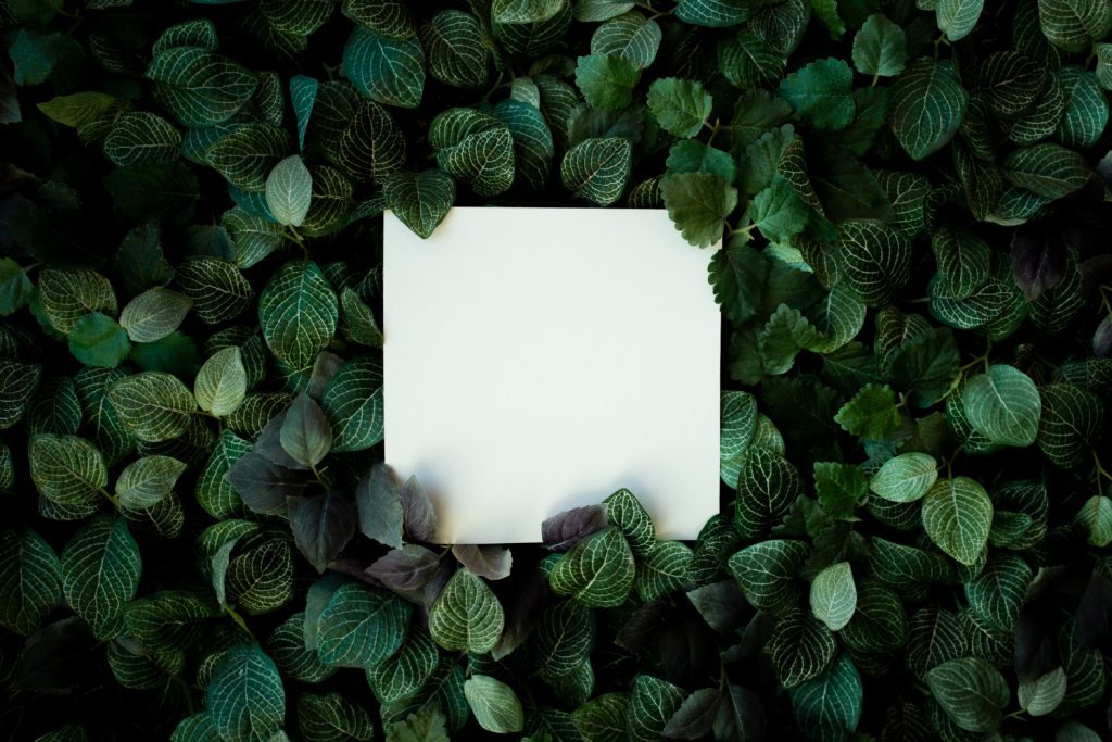 Jardim vertical